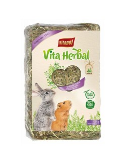 Foin de fléole des prés Vitapol Vita