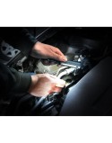 Torch EverActive WL200 3 W 200 Lm