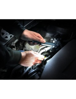 Torcia EverActive WL200 3 W 200 Lm