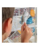 Cage Zolux Metal Plastic 41 x 40 x 27 cm 41 x 27 x 40,5 cm (1 Piece)