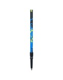 Bastone da Trekking Viking Ruten Pro Nordic Azzurro Nero (2 Unità)