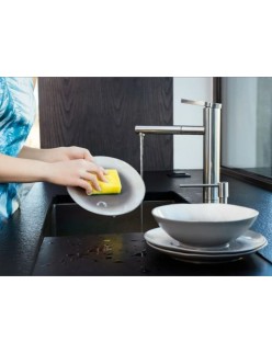 Sponges Vileda 173845