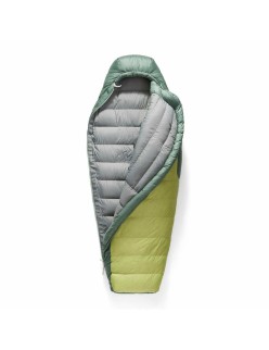 Saco de Dormir Sea to Summit ASL041101-330401 Verde Gris