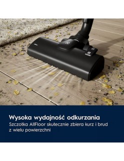 Aspiradora sin Cable Electrolux EB51C1OG Azul 750 W