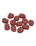 Pienso Petitto Pescado Pato 500 g