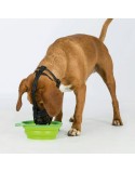 Muzzle Trixie Black Monochrome M/L 22 cm