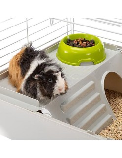 Cage Ferplast Cavie Metal Plastic 77 x 45 x 48 cm