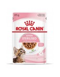 Comida para gato Royal Canin Sterilised Gravy Pollo 12 x 85 g