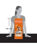 Fodder Purina Dog Chow Mature Senior Senior Lamb 14 Kg