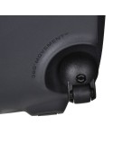 Aspirador Electrolux EPF63EB-S Preto 700 W