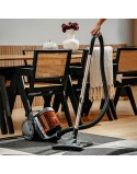 Aspirateur Adler AD 7065 Noir Orange 700 W 3000 W