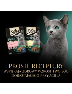 Comida para gato Sheba Kitten Pollo