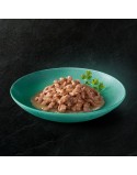 Comida para gato Sheba Kitten Pollo