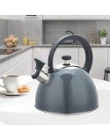 Théière Feel Maestro MR-1302-GREY Noir Gris Acier inoxydable 2,5 L