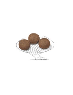 Pienso Royal Canin Medium Puppy Cachorro/Junior Pollo Vegetal 15 kg