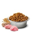 Futter Farmina N&D Ancestral Grain Canine Erwachsener Huhn 15 kg