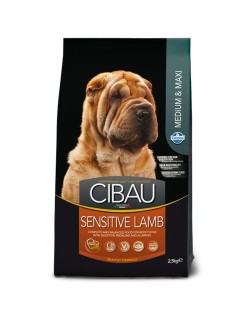 Futter Farmina SENSITIVE LAMB MEDIUM & MAXI Erwachsener Lamm 14 Kg