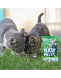Katzenfutter VETEXPERT Adult Cat 100 g