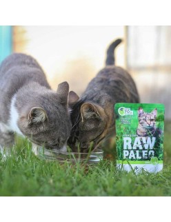 Katzenfutter VETEXPERT Adult Cat 100 g