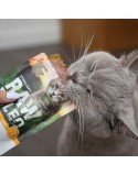 Comida para gato VETEXPERT Adult Cat 100 g