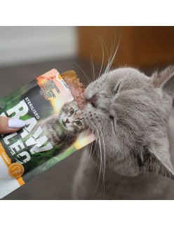 Cat food VETEXPERT Adult Cat 100 g