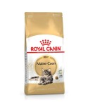 Katzenfutter Royal Canin Erwachsener 4 Kg Huhn