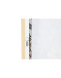 Cuadro Home ESPRIT Cottage Florero (2 Unidades)