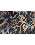 Cuadro Home ESPRIT Negro Dorado Leopardo Colonial Lacado 50 x 3,5 x 70 cm (2 Unidades)