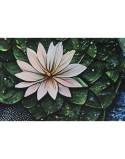Painting Home ESPRIT Printed 150 x 0,4 x 100 cm