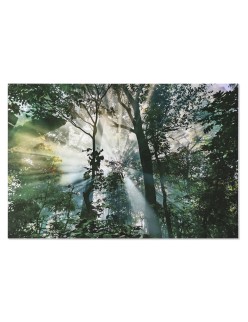 Cuadro Home ESPRIT Verde Impreso 150 x 0,4 x 100 cm