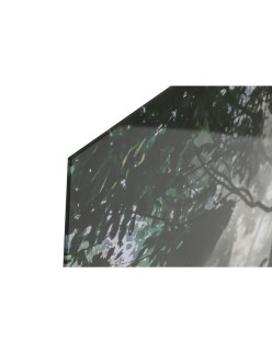 Cuadro Home ESPRIT Verde Impreso 150 x 0,4 x 100 cm