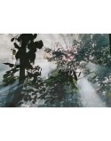 Painting Home ESPRIT Green Printed 150 x 0,4 x 100 cm