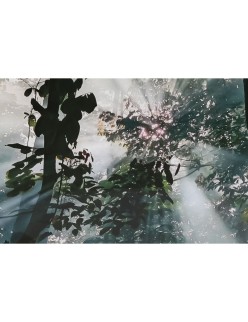 Painting Home ESPRIT Green Printed 150 x 0,4 x 100 cm