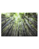 Pintura Home ESPRIT Verde Impresso 150 x 0,4 x 100 cm