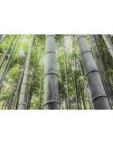 Pintura Home ESPRIT Verde Impresso 150 x 0,4 x 100 cm