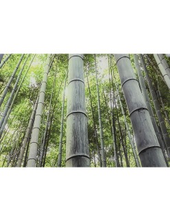 Pintura Home ESPRIT Verde Impresso 150 x 0,4 x 100 cm