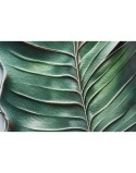 Cuadro Home ESPRIT Verde Palmeras Tropical 80 x 3,5 x 120 cm (2 Unidades)