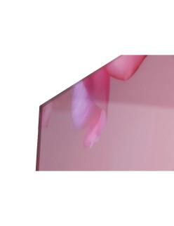 Pintura Home ESPRIT Cor de Rosa Impresso 150 x 0,4 x 100 cm