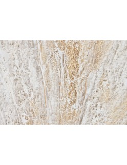 Pintura Home ESPRIT Branco Bege Vaso Tradicional 62 x 4,5 x 122 cm (2 Unidades)