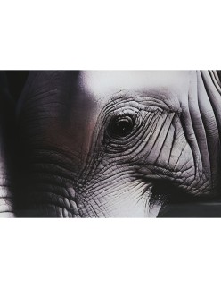 Painting Home ESPRIT Black Grey Printed 150 x 0,4 x 100 cm