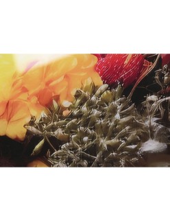 Quadro Home ESPRIT Stampato 120 x 0,4 x 120 cm