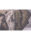 Cuadro Home ESPRIT Beige Gris Elefante Colonial Purpurina 150 x 4 x 50 cm (2 Unidades)