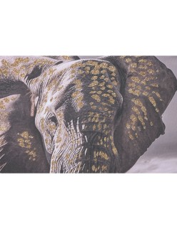 Cuadro Home ESPRIT Beige Gris Elefante Colonial Purpurina 150 x 4 x 50 cm (2 Unidades)