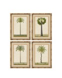 Cuadro Home ESPRIT Verde Natural Palmeras Tropical 45 x 2,5 x 60 cm (4 Unidades)