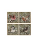 Cuadro Home ESPRIT Verde Pájaros Shabby Chic 50 x 2 x 50 cm (4 Unidades)