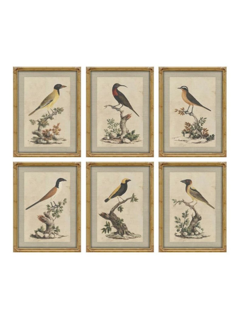 Cuadro Home ESPRIT Beige Pájaro Shabby Chic 45 x 3 x 60 cm (6 Unidades)