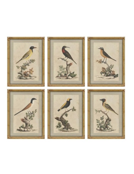 Cuadro Home ESPRIT Beige Pájaro Shabby Chic 45 x 3 x 60 cm (6 Unidades)