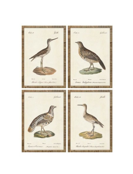 Cuadro Home ESPRIT Beige Pájaros Cottage 40 x 2,5 x 50 cm (4 Unidades)