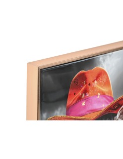 Cuadro Home ESPRIT Vaca Moderno Lacado 90 x 4 x 60 cm (2 Unidades)