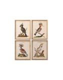 Quadro Home ESPRIT Beige Tropicale 40 x 2 x 50 cm (4 Unità)